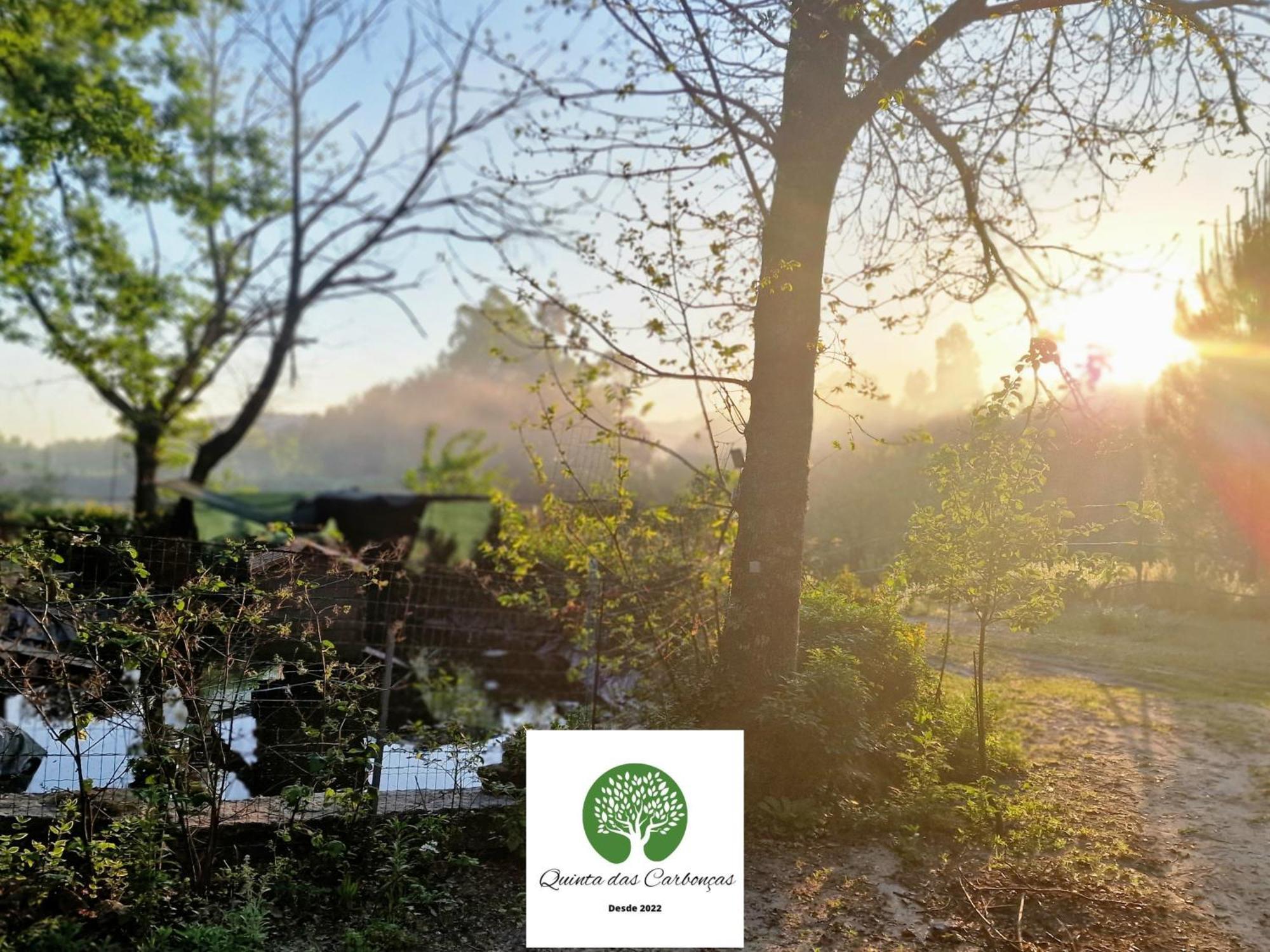 Quinta Das Carboncas Fafe Eksteriør billede