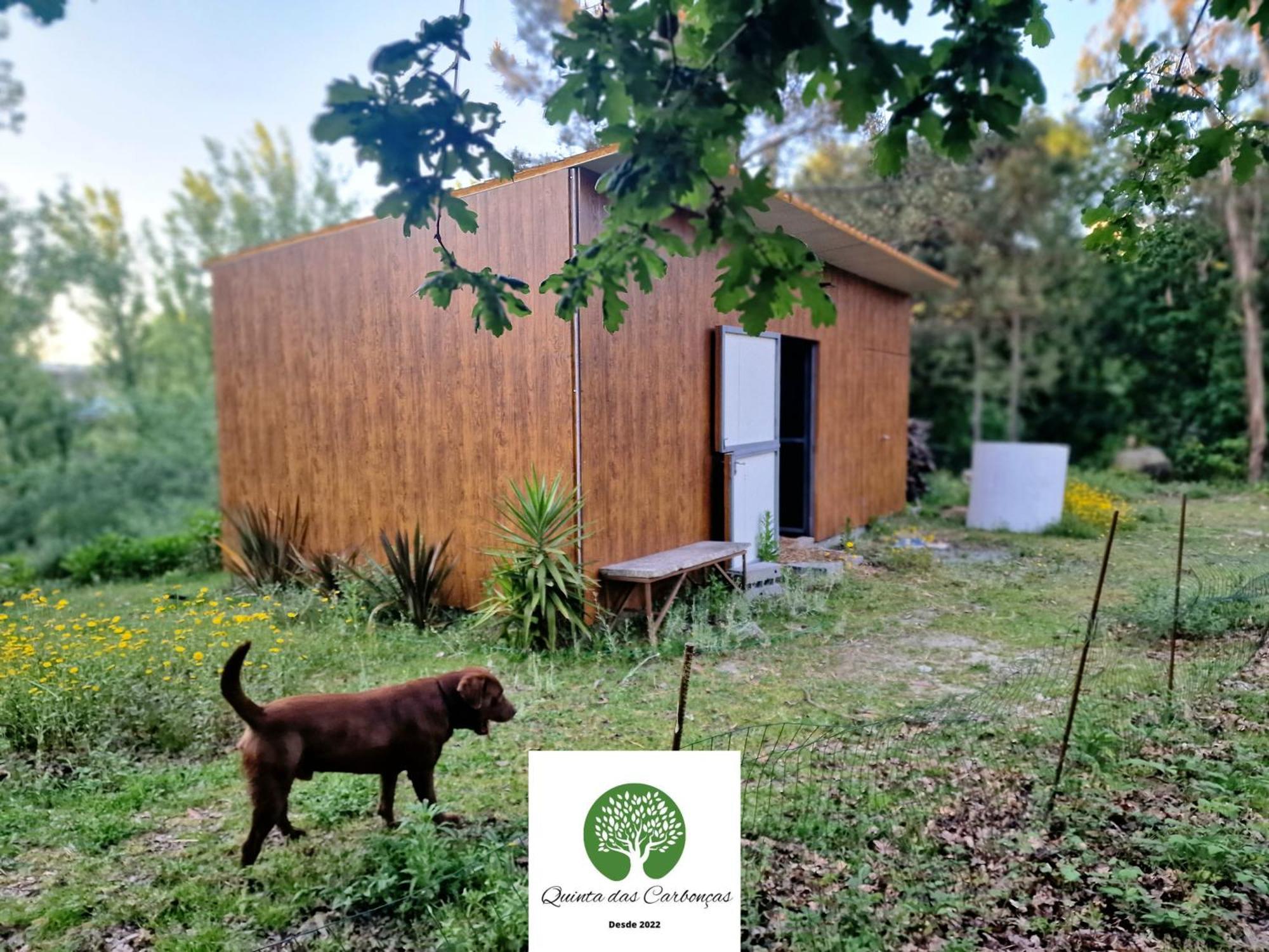 Quinta Das Carboncas Fafe Eksteriør billede