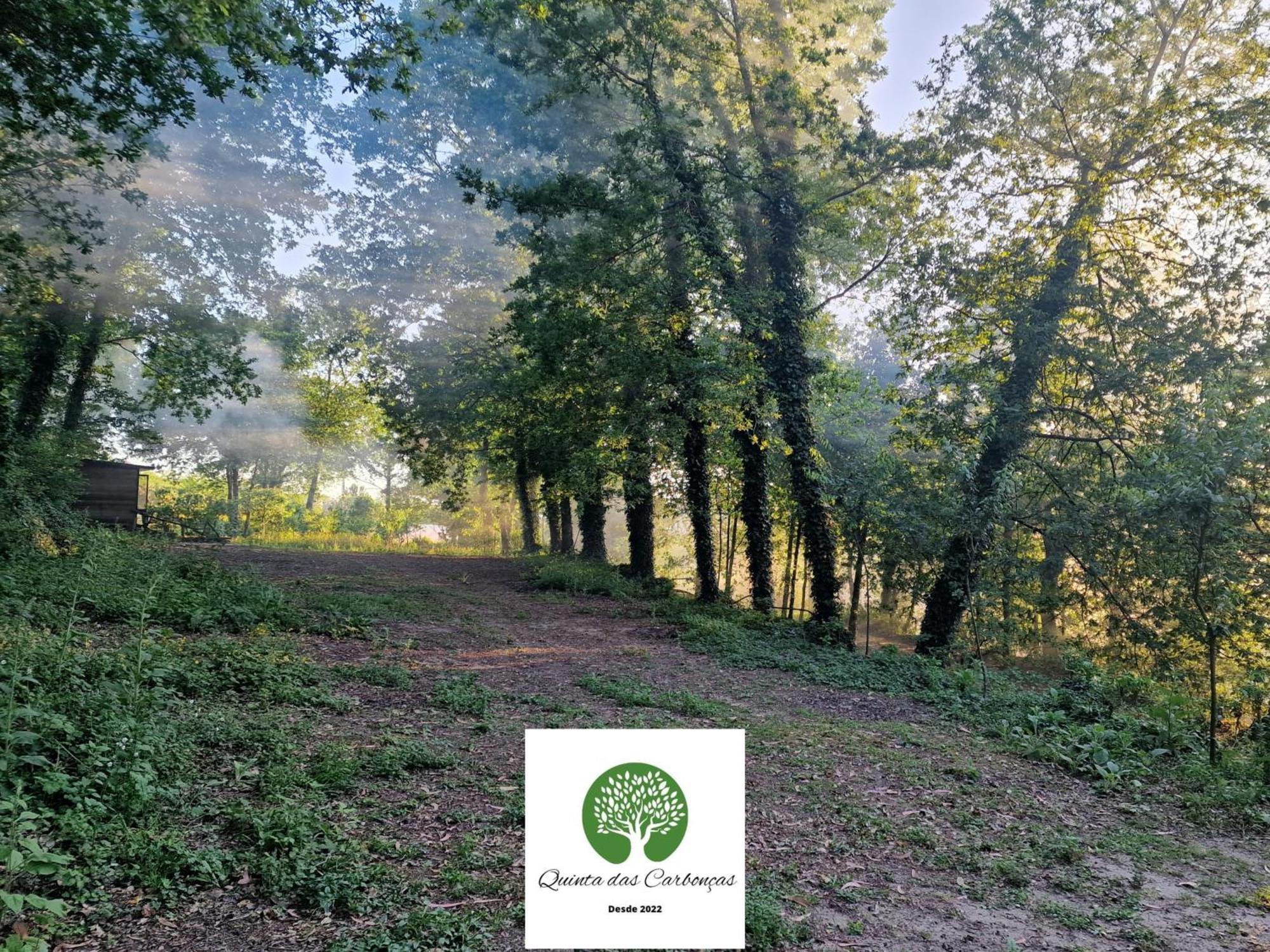 Quinta Das Carboncas Fafe Eksteriør billede